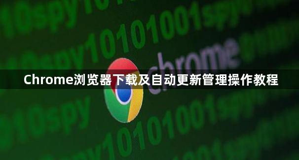 Chrome浏览器下载及自动更新管理操作教程1