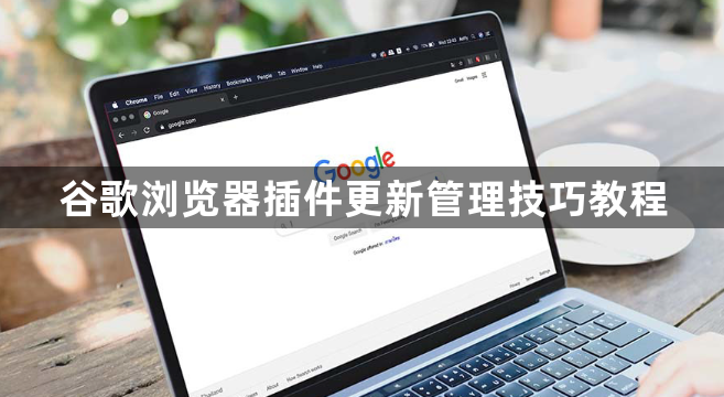 谷歌浏览器插件更新管理技巧教程1