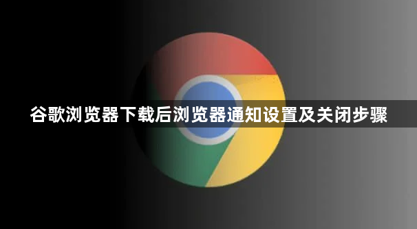 谷歌浏览器下载后浏览器通知设置及关闭步骤1