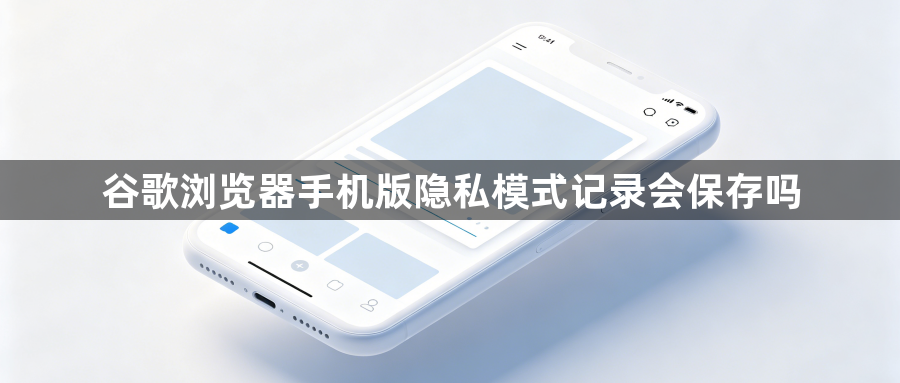 谷歌浏览器手机版隐私模式记录会保存吗1